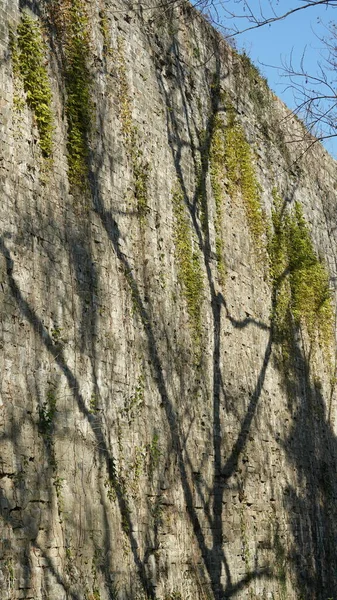 Çin 'in Nanjing şehrindeki eski taş şehir manzarası.