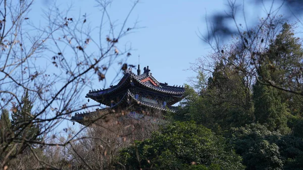 ドアと黄金のタイルの屋根の指定と典型的な中国の寺院の建物のビュー — ストック写真