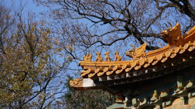 Tipik klasik Çin tapınak binaları kırmızı duvar, kapı ve altın kiremitlerle döşenmiştir.