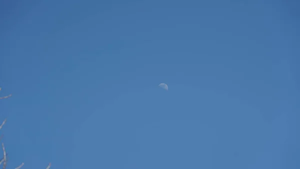 Moon Clear Blue Sky Day — Stock Photo, Image