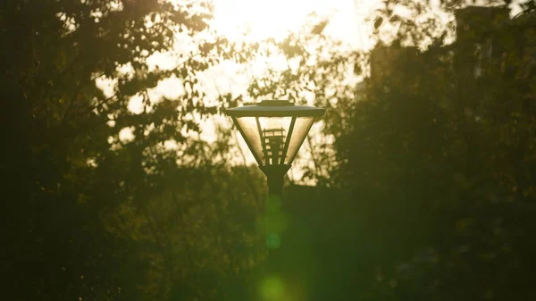 Закат Солнечного Света Через Один Стеклянный Свет Саду Второй Половине — стоковое фото