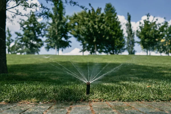芝生の自動灌漑 — ストック写真