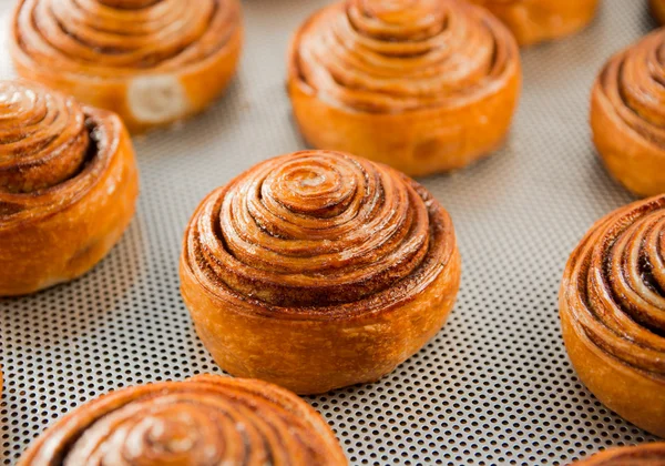 Fresh sweet rolls — Stock Photo, Image