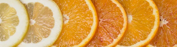 Citrus přechod — Stock fotografie