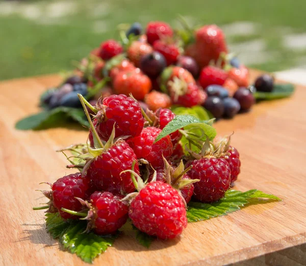 Crimson hill on the background of the berry collection — Stock Fotó