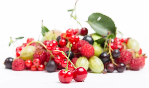 Svěží šťavnaté bio ovoce — Stock fotografie