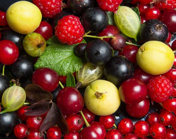 Letní ovoce a bobule — Stock fotografie