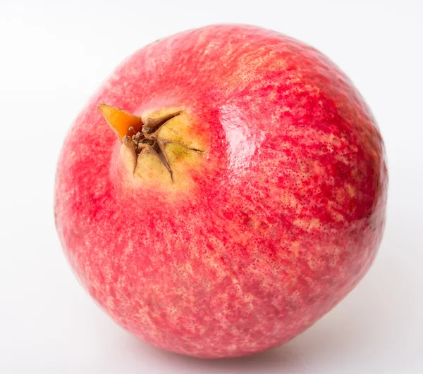 Свежесозревшее большое яблоко — стоковое фото