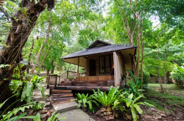 Yeşil orman ve puslu sabah kulübeleri