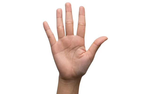 Número cinco en lenguaje de señas . — Foto de Stock