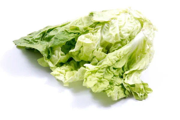 Lettuce isolated on a white background — Stock Photo, Image