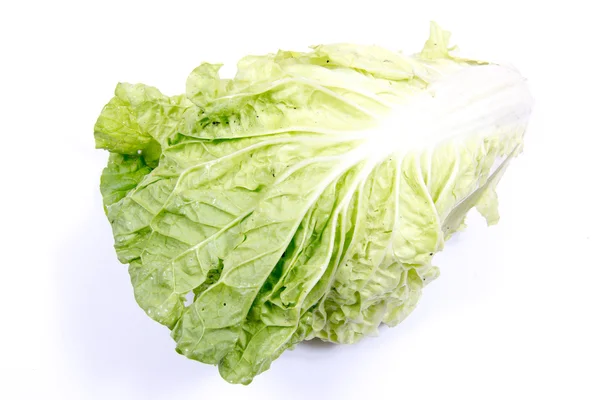 Lettuce isolated on a white background — Stock Photo, Image