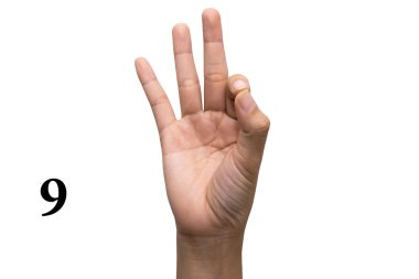 Amerikan işaret dili (Asl dokuz dil sayısı).