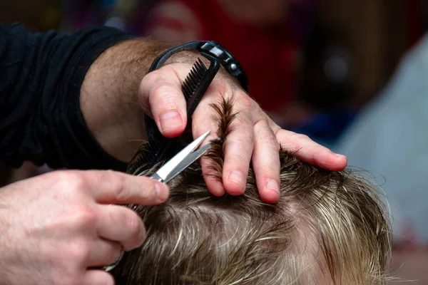 The hairdresser cuts a young woman hair with scissors.