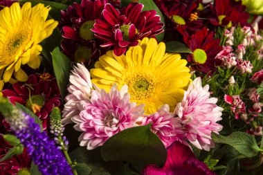 Taze bahar çiçeklerinden oluşan renkli bir buket. Çiy damlalarıyla yakın plan. Renkli bir geçmiş. Renkli kartpostal. 