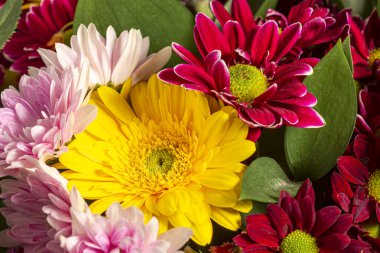 Farklı çiçeklerden modern bir buket, yakın plan renkli bir buket çiçek. Renkli bir geçmiş. Renkli kartpostal. Noel kartı..