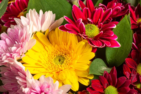 Modern floral bouquet of different flowers, colorful bouquet of flowers close-up. Colorful background. Colorful postcard. Christmas card.