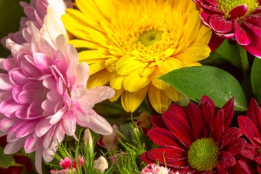 Farklı çiçeklerden güzel bir buket çiçek, çiy damlalarıyla yakın plan renkli bir buket çiçek. Renkli bir geçmiş. Renkli kartpostal.