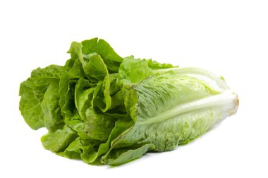 Taze khasa salatası beyaz izole bir zeminde yatar..