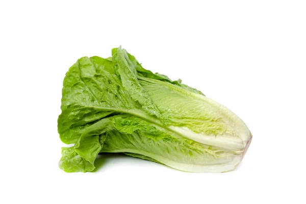 Head Fresh Lettuce Lies White Isolated Background — Stock Photo, Image