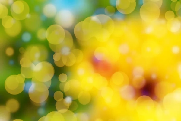 Barevné Rozostřené Pozadí Zářícím Bokeh Letní Pozadí — Stock fotografie