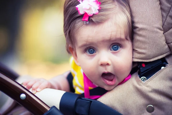 Child is sitting in a carriage. — Stock Photo, Image