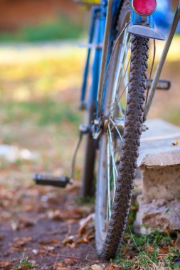 çimenlerin üzerinde bisiklet standları