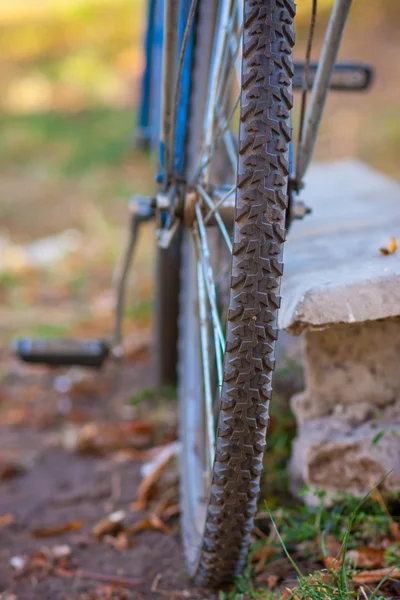 Bicycle stands on the grass — Stock Photo, Image