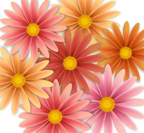 Hermosas flores para unas vacaciones — Vector de stock