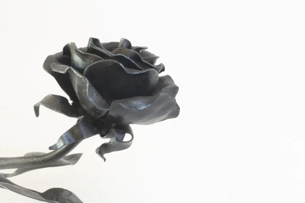 Dövme metal ürünler. Çiçekler ve yapraklar dövme ve bir astar ile kaplı. tasarım öğeleri.