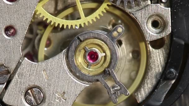 Orologio da lavoro. Anatomia di un orologio da polso. Le molle e gli ingranaggi al lavoro. Video girato da vicino su un obiettivo Canon 70D., macro . — Video Stock