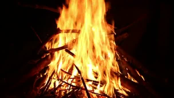 Nachtfeuer. Brennholz verbrennen. — Stockvideo