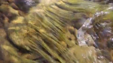 Aşağı vadiye akan nehir dağ