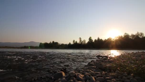 Mountain river flowing down into the valley — Stock Video