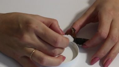 Kadın Tavuskuşu kelebeğini şeker şurubuyla besliyor. Elle beslenme. Yakın çekim..