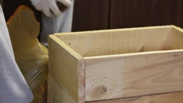 Un hombre está poniendo remolacha azucarera en una caja de madera. Cosechar verduras durante la epidemia en un apartamento de la ciudad. Primer plano de disparo. — Vídeos de Stock