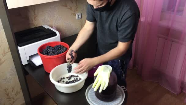 A man in a medical mask removes berries from a bunch of blue grapes. Making homemade wine during an epidemic. — Stock Video