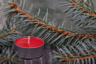 Çam ağaçlarının üzerinde mavi ladin dalları. Yakınlarda kırmızı bir mum var. Yakın çekim..