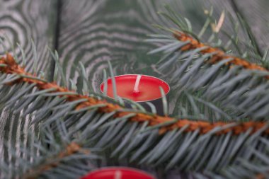 Çam ağaçlarının üzerinde mavi ladin dalları. Yakınlarda kırmızı mumlar var..