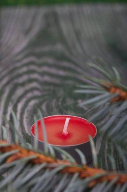 Çam ağaçlarının üzerinde mavi ladin dalları. Yakınlarda kırmızı bir mum var. Yakın çekim..