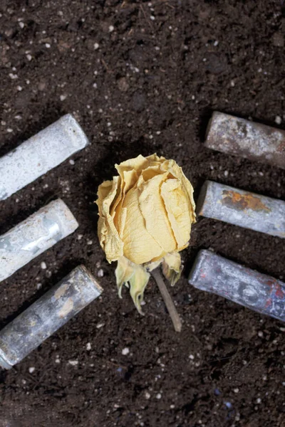 Korozyjne Baterie Pokryte Ziemią Suszone Pąki Róż Ochrona Środowiska Recykling — Zdjęcie stockowe