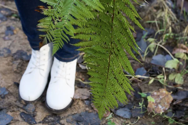 Γυναικεία Πόδια Φθινοπωρινά Άσπρα Παπούτσια Κοντά Είναι Πράσινα Κλαδιά Φτέρης — Φωτογραφία Αρχείου