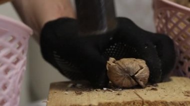 Bir adam çekiçle ceviz patlatır. Tahta bir blokta. Doğranmış fındıklar onları sepete atıyor. Yakın çekim..