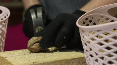 Bir adam çekiçle ceviz patlatır. Tahta bir blokta. Kabukları ve çekirdekleri ayırıp sepete koyuyor. Yakın çekim.