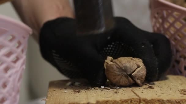 Muž píchne kladivem vlašské ořechy. Na dřevěném bloku. Nakrájené oříšky je hodí do košíku. Detailní záběr. — Stock video