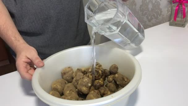 Un hombre pone alcachofa sucia de Jerusalén en una cuenca. Se llena con agua de una jarra. Para lavar y limpiar. Cerca hay un decantador de agua. — Vídeos de Stock