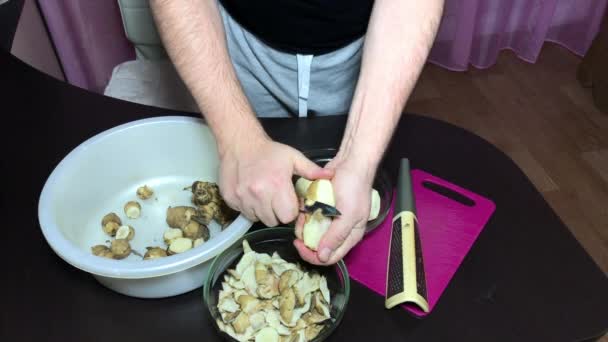 Muž oloupe jeruzalémský artyčok kuchyňským nožem. Hodí slupku do jednoho kontejneru, loupaná zelenina do jiného. — Stock video