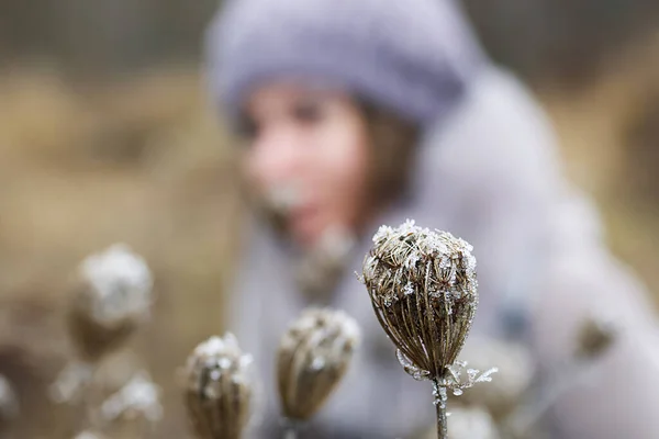 A woman in winter clothes walks in the park. Around the dried plants covered with ice crust and frost. The woman is out of focus.