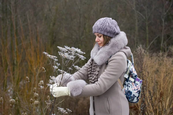 A woman in winter clothes walks in the park. Holds a dried plant covered with ice crust and frost in his hands. Close-up shot.