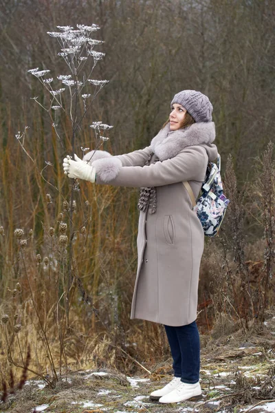 A woman in winter clothes walks in the park. Holds a dried plant covered with ice crust and frost in his hands. Close-up shot.